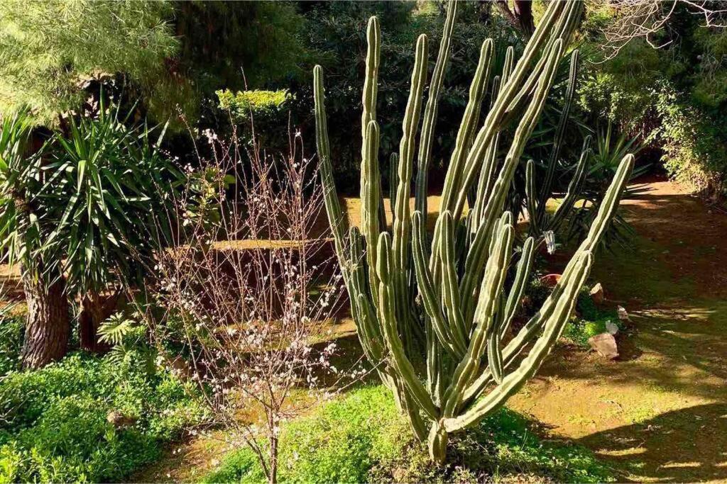 Athens Riviera Garden Views Apartment #Unoblu Exterior photo